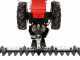 Eurosystems Minieffe M150 RM - Motosegadora multifunci&oacute;n - B&amp;S 625 EXi