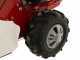 Eurosystems Minieffe M150 RM - Motosegadora multifunci&oacute;n - B&amp;S 625 EXi