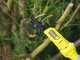 Podadora de bater&iacute;a RYOBI RY18PLA-0 - 18V - 4Ah - Di&aacute;metro de corte 32 mm