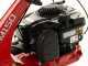 Eurosystems Minieffe M150 RM - Motosegadora multifunci&oacute;n rotativa - B&amp;S 625 EXi