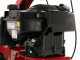 Eurosystems Minieffe M150 RM - Motosegadora multifunci&oacute;n rotativa - B&amp;S 625 EXi