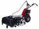 Eurosystems Minieffe M150 RM - Desbrozadora de gasolina - Cuchilla - B&amp;S 625 EXi