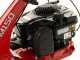 Eurosystems Minieffe M150 RM - Desbrozadora de gasolina - Cuchilla - B&amp;S 625 EXi