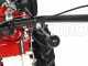 Eurosystems P55 - Motosegadora multifunci&oacute;n de doble cuchilla - Loncin 196 OHV