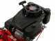 Eurosystems P55 - Motosegadora multifunci&oacute;n de doble cuchilla - Loncin 196 OHV
