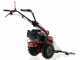 Eurosystems P55 - Motosegadora multifunci&oacute;n de doble cuchilla - Loncin 196 OHV