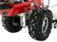 Eurosystems P70 EVO - Motocultor de gasolina - Loncin LC1P75F - 7HP