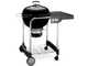 Weber Performer GBS - Barbacoa de carb&oacute;n