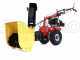 Eurosystems P 70 EVO - Motosegadora multifunci&oacute;n rotativa - Loncin 224 OHV