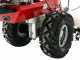 Eurosystems P 70 EVO - Motosegadora multifunci&oacute;n rotativa - Loncin 224 OHV
