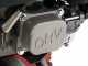 Eurosystems P70 EVO - Aspirador de hojas de gasolina - Loncin 224 OHV