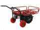 Carretilla de bater&iacute;a Geotech CAR 300T-T - Bater&iacute;a de 40V y 6 Ah