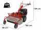 GeoTech-Pro GFM 760 BS-E - Desbrozadora profesional de martillos - B&amp;S XR2100