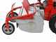 GeoTech-Pro GFM 760 BS-E - Desbrozadora profesional de martillos - B&amp;S XR2100