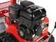 GeoTech-Pro GFM 860 BS-E - Desbrozadora profesional de martillos - B&amp;S XR2100