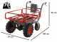 Carretilla de bater&iacute;a Geotech CAR 300T-T PLUS - Bater&iacute;a de 40V y 6 Ah