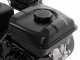 Eurosystems RTT 3 - Motocultor de gasolina - Brigs&amp;Stratton CR950 - 7HP