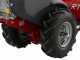 Eurosystems RTT 3 - Motocultor de gasolina - Brigs&amp;Stratton CR950 - 7HP