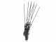 Zanon Albatros PRATIK C/AL 200 - Vareador de aceitunas con bater&iacute;as de litio - 2x (36 V - 5 Ah)