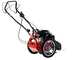 Blue Bird FLO Pro Speed 7HO - Desbrozadora de ruedas a gasolina - Cuchilla e hilo - Honda GCV200