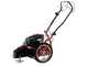 Blue Bird FLO PRO SPEED 7 - Desbrozadora de gasolina - Cuchilla e hilo - B&amp;S 850PXI