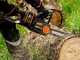 Worx NITRO WG385E.9 - Electrosierra de bater&iacute;a - 40V - BATER&Iacute;A Y CARGADOR NO EST&Aacute;N INCLUIDOS