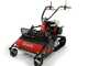 Benassi T750 HD - Desbrozadora de orugas profesional de martillos - Honda GX390