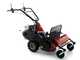 Benassi T603 - Desbrozadora profesional de martillos - Honda GX200