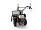 Benassi T603 - Desbrozadora profesional de martillos - Honda GX200
