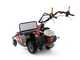 Benassi T603 - Desbrozadora profesional de martillos - Honda GX200