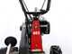 Benassi T603 - Desbrozadora profesional de martillos - Honda GX200