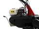 Benassi T603 - Desbrozadora profesional de martillos - Honda GX200