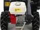 Benassi T603 - Desbrozadora profesional de martillos - Honda GX200