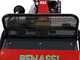 Benassi T603 - Desbrozadora profesional de martillos - Honda GX200