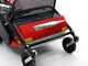 Benassi T603 - Desbrozadora profesional de martillos - Honda GX200