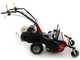 Benassi T603 - Desbrozadora profesional de martillos - Honda GX200