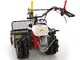 Benassi T900P - Desbrozadora profesional de martillos - Honda GX390