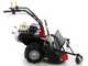 Benassi T900P - Desbrozadora profesional de martillos - Honda GX390