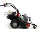 Benassi T900P - Desbrozadora profesional de martillos - Honda GX390