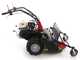 Benassi T900P - Desbrozadora profesional de martillos - Honda GX390