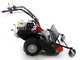 Benassi T900P - Desbrozadora profesional de martillos - Honda GX390