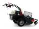 Benassi T750P - Desbrozadora profesional de martillos - Honda GX390