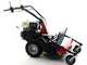 Benassi T750P - Desbrozadora profesional de martillos - Honda GX390