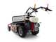 Benassi T750P - Desbrozadora profesional de martillos - Honda GX390