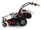 Benassi T750P - Desbrozadora profesional de martillos - Honda GX390
