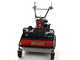 Benassi T750P - Desbrozadora profesional de martillos - Honda GX390