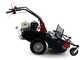 Benassi T750P - Desbrozadora profesional de martillos - Honda GX390
