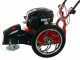 Blue Bird FLO SPEED 7 BS - Desbrozadora de gasolina - Cuchilla e hilo - B&amp;S 675EXi