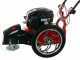 Blue Bird FLO SPEED 7 BS - Desbrozadora de gasolina - Cuchilla e hilo - B&amp;S 675EXi