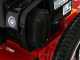 Blue Bird FLO SPEED 7 BS - Desbrozadora de gasolina - Cuchilla e hilo - B&amp;S 675EXi